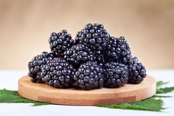 Blackberries 2 570x380 