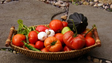 Fall Harvest Foods